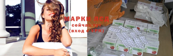 spice Аркадак
