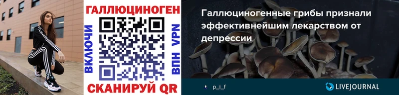 кракен вход Сухой Лог Галлюциногенные грибы MAGIC MUSHROOMS